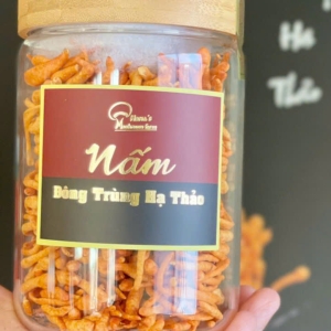 Đông trùng hạ thảo 18gr